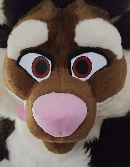 Snakebite Refurb 2025 Snakebite Refurb 2025