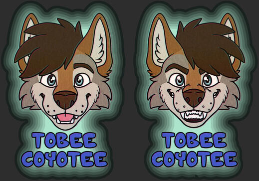 Double Symmetrical Badge