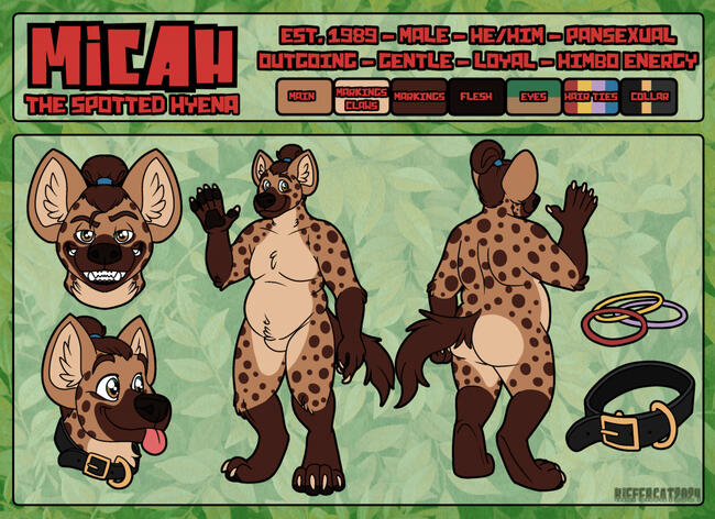 3/4 Standard Ref
